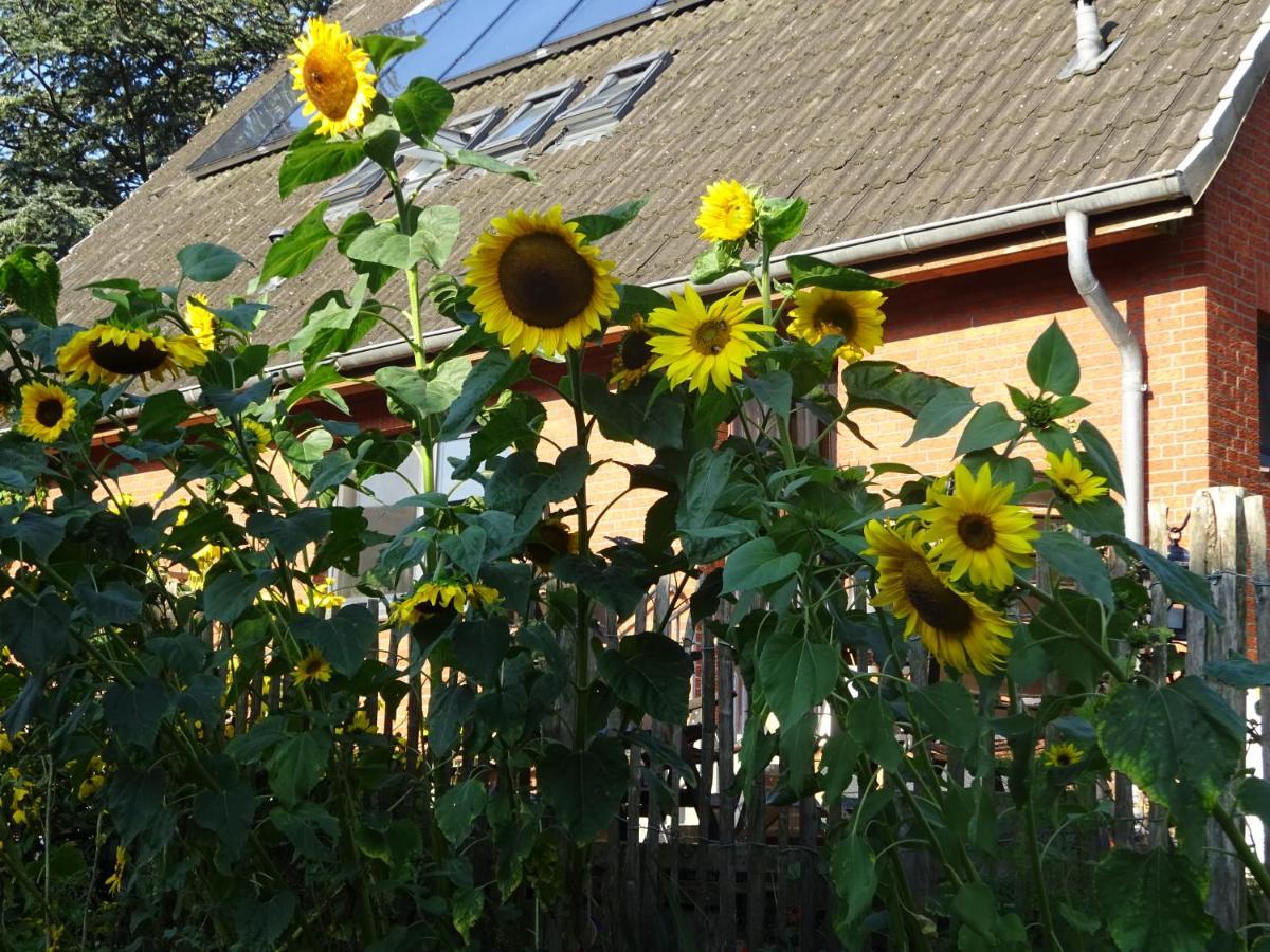 Peanuts Hostel & Meer Surendorf Exterior photo